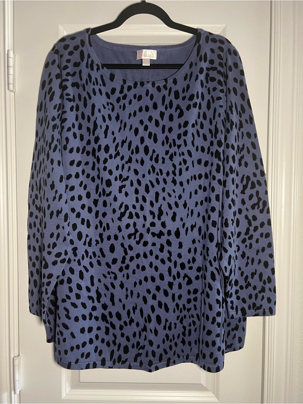 Blue Leopard-Print Long Sleeve Knit Top